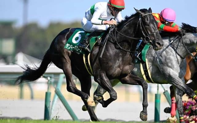 【ファルコンS結果】ヤンキーバローズが追い比べを制して重賞初制覇