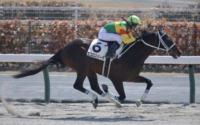 【中京3R】ルーキー和田陽希騎手が初勝利