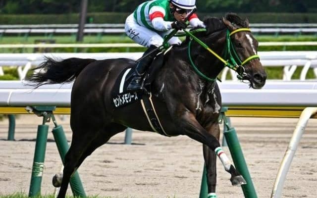 中京芝はロベルト系に注 愛知杯はエピファネイア産駒のセントメモリーズが穴