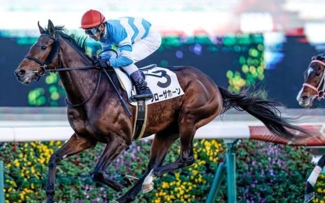 【今日の注目ポイント】阪神大賞典と条件リニューアルの愛知杯