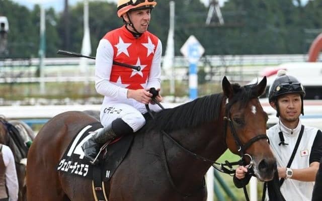 【阪神大賞典予想】数少ない長距離重賞 カギは鋭い決め手を繰り出せるステイヤー