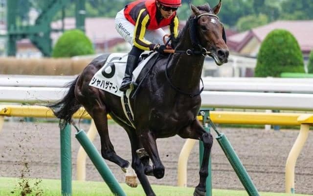 半兄に日本ダービー馬と皐月賞馬 良血がダートで連勝なるか