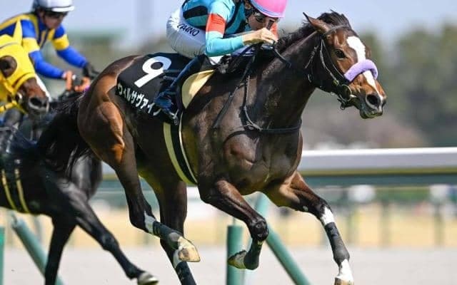 【フローラルウォーク賞結果】5番人気ウィルサヴァイブが抜け出してV