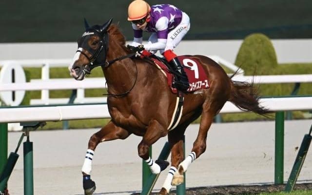 【阪神大賞典結果】ダービー4着馬サンライズアースが6馬身差圧勝 レイデオロ産駒の重賞初V