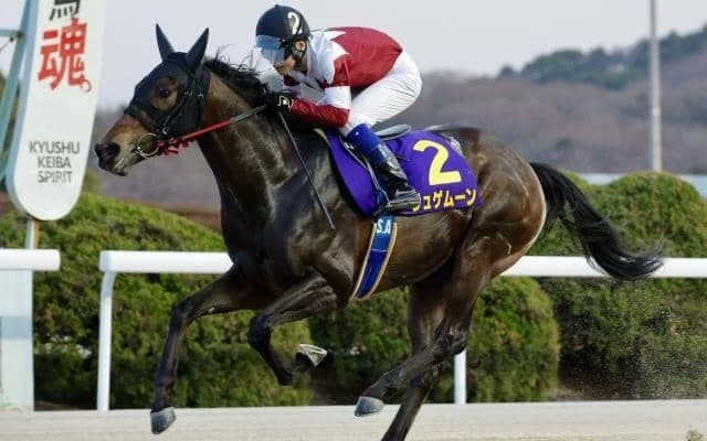 【佐賀・ネクストスター西日本結果】高知のジュゲムーンが断然人気に応え逃げ切りV