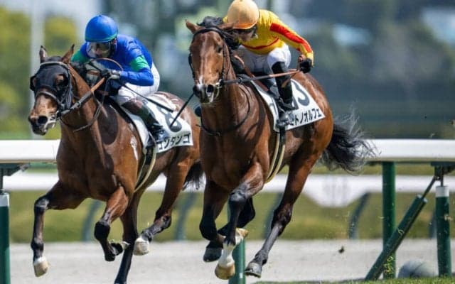 前川恭子調教師 JRA初勝利