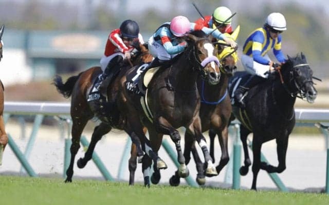 【フローラルウォーク賞】アルアイン産駒 ウィルサヴァイブが2勝目