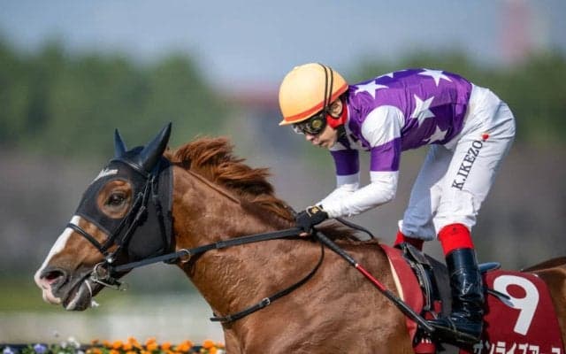 【阪神大賞典】池添「スタミナは自信があった」サンライズアースが格上挑戦で6馬身差V