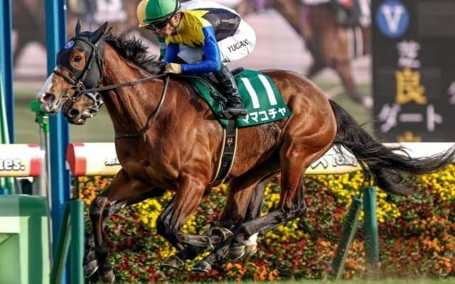 春のスプリント王決定戦・高松宮記念など4重賞/今週の競馬界の見どころ