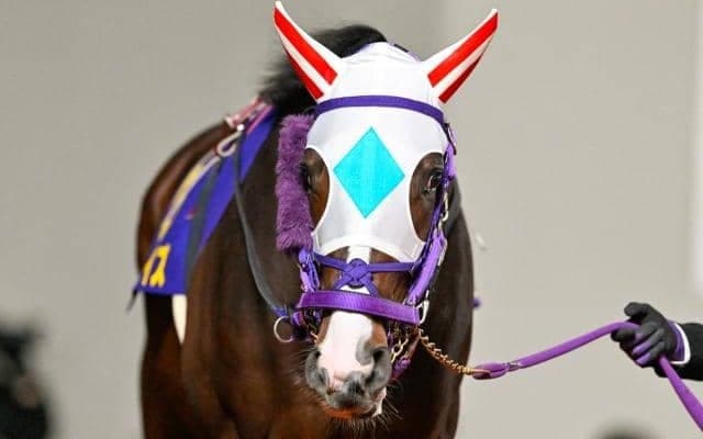 【大井・京浜盃枠順】巻き返し期すナチュラルライズは6枠10番、無傷4連勝中のナイトオブファイアは3枠3番