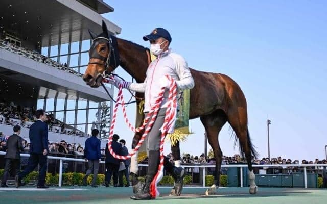 【愛知杯】売上は45億1994万2600円 今年から芝1400mのグレード別定戦に