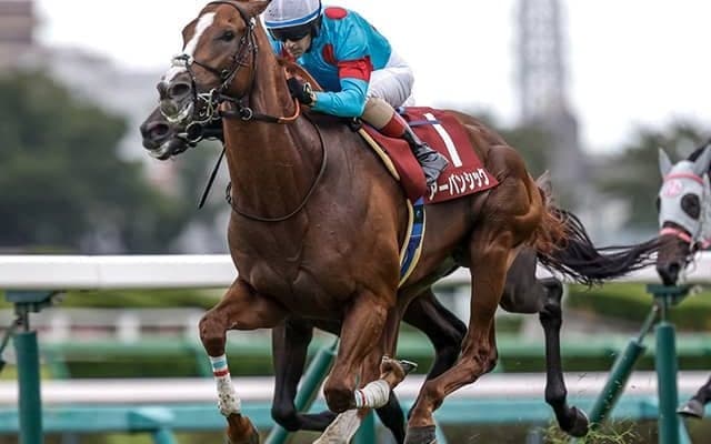 【日経賞想定騎手】アーバンシックはC.ルメール騎手、シュヴァリエローズは北村友一騎手