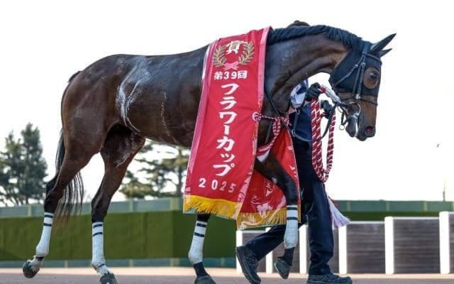 フラワーCでキズナ産駒が上位独占＆4週連続重賞V 樫舞台に向け一歩前進したレーゼドラマの血統を深掘り