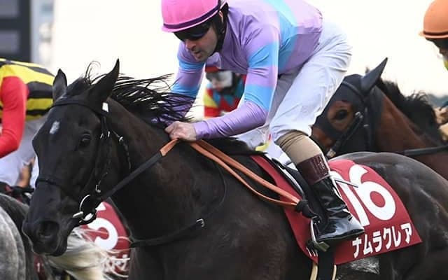 【高松宮記念想定騎手】ナムラクレアはC.ルメール騎手、サトノレーヴはJ.モレイラ騎手