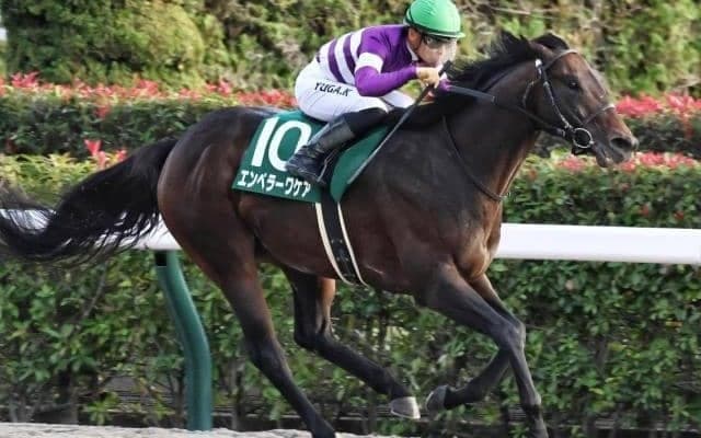 【高知・黒船賞注目馬】JRA重賞2勝馬が地方初参戦 大舞台に向けて見逃せぬ一戦