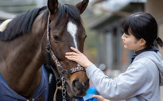 ヴェロックスが青山学院大に“入学”!? 19年クラシックにぎわせた実力派が馬術部の一員になったワケ