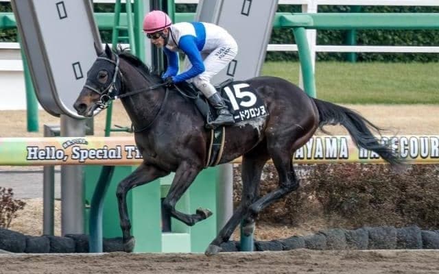 【マーチS予想オッズ】ロードクロンヌが予想1番人気