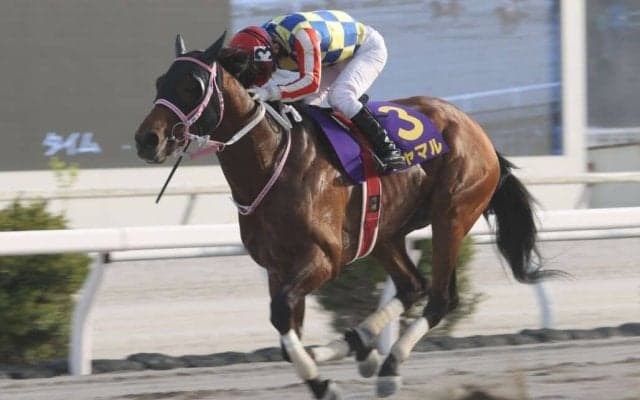 【黒船賞】シャマルが逃げ切って3連覇…エンペラーワケアは3着