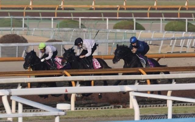 クロワデュノール、皐月賞追い切り速報/栗東トレセンニュース