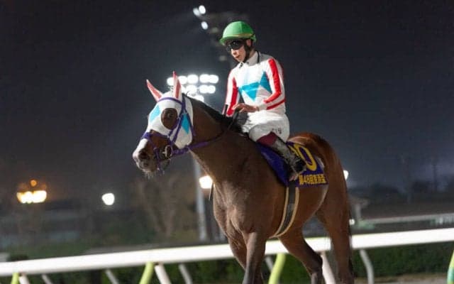 【京浜盃】伊藤師「右回りの方が数段良い走りが出来る印象 」交流重賞初Vでいざダートクラシックへ