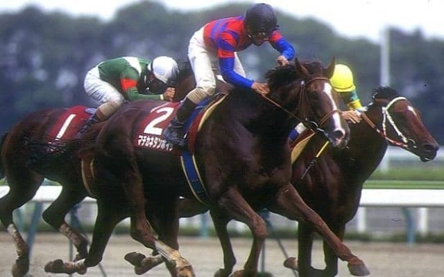 中距離時代の覇者にも名馬がズラリ 最後の「芝2000mの高松宮杯」から30年