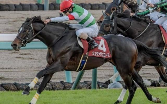 21世紀初の偉業達成へ GII連勝中のステイヤーが日経賞V狙う