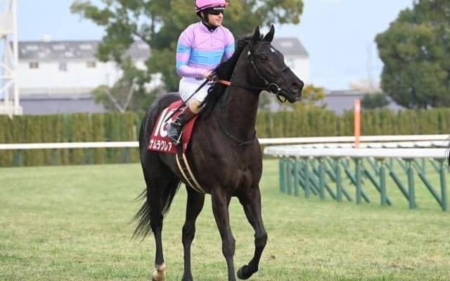 【高松宮記念出走馬・騎手確定】ナムラクレア＆C.ルメール騎手、サトノレーヴ＆J.モレイラ騎手など18頭