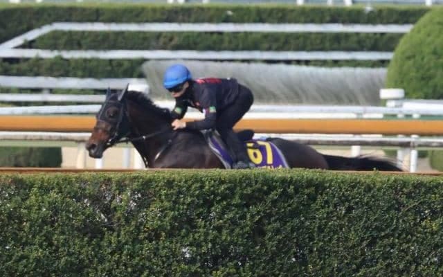 ロードデルレイなど、大阪杯1週前追い切り速報/栗東トレセンニュース