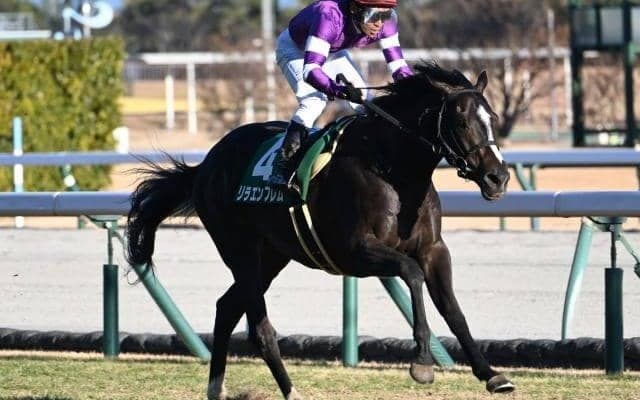 【毎日杯出走馬・騎手確定】リラエンブレム＆浜中俊騎手、キングノジョー＆坂井瑠星騎手など10頭