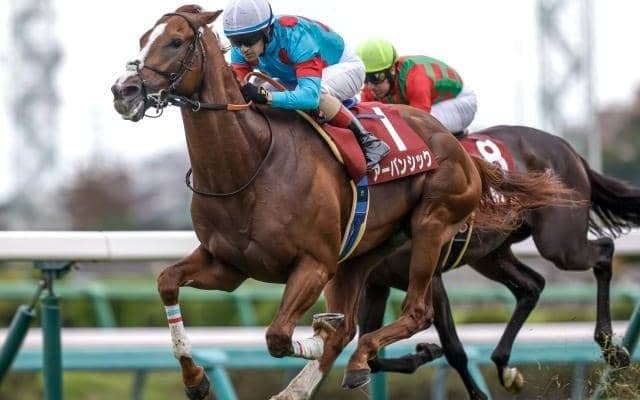 【日経賞出走馬・騎手確定】アーバンシック＆C.ルメール騎手、シュヴァリエローズ＆北村友一騎手など16頭