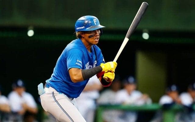 開幕“出遅れ”でも…挽回した選手たち　覚醒のハム外野手、復活の月間MVP獲得も