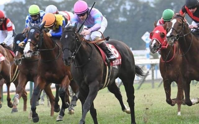 【高松宮記念・調教後馬体重】ナムラクレアは498kg、マッドクールは548kg