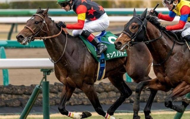 セレクト3.1億円馬が毎日杯に挑む 史上最高額のJRA重賞ウイナーとなるか