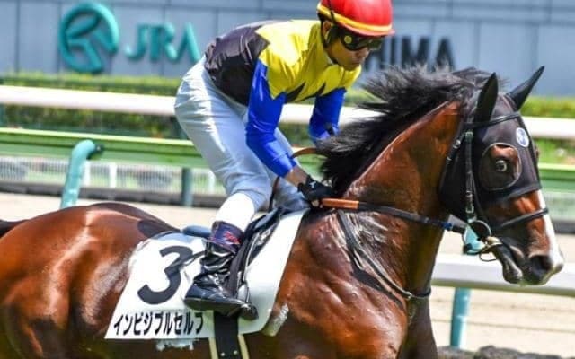 2.5億円馬が1年8カ月ぶりの復帰戦 長期ブランクを覆せるか