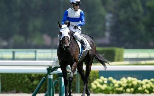 【マーチS枠順確定】ロードクロンヌは1枠1番、ハビレは4枠6番