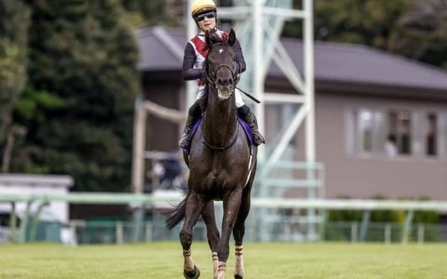 【高松宮記念枠順確定】ルガルは3枠6番、ナムラクレアは7枠14番