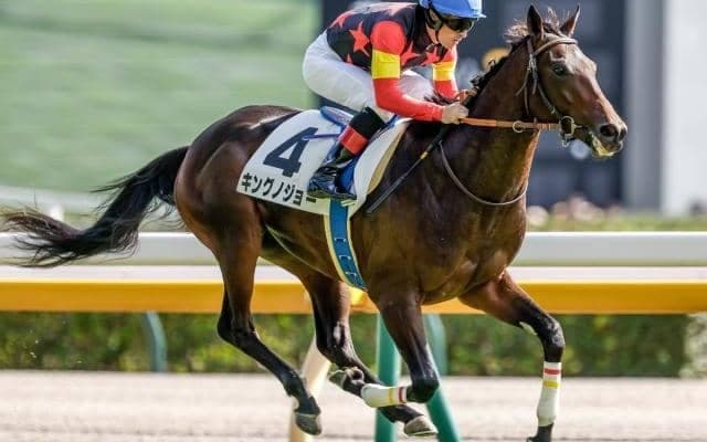 【毎日杯予想】急坂のある阪神は馬力が大事!? 前走の馬体重に顕著な傾向あり
