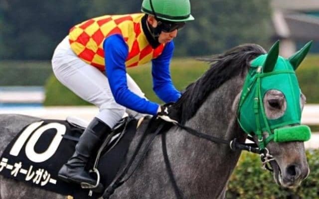 中京ダートは道悪で逃げ有利 矢作川特別はテーオーレガシーの押し切り注