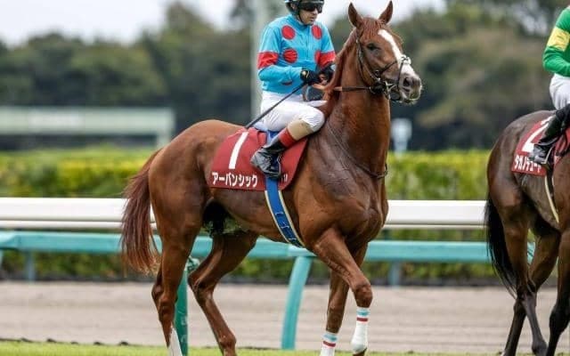 【今日の注目ポイント】中山の日経賞に菊花賞馬アーバンシックが登場