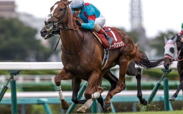 【日経賞予想】有馬記念と同舞台で争われる別定戦 上位人気が好調で実績を信頼