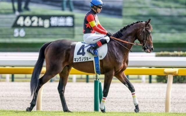 【毎日杯予想】春のクラシックに向かう3歳馬にとってラストチャンス 器用さよりも総合力、決め手勝負に