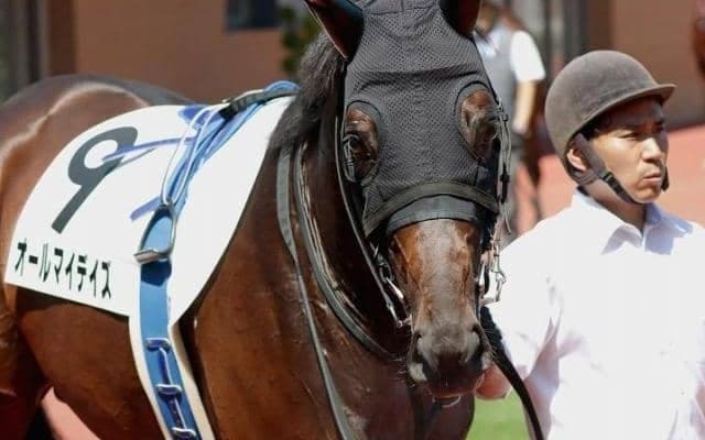 名牝シーザリオの孫 1年7か月ぶり実戦で連勝狙う