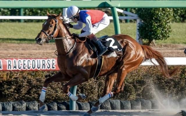 【マーチS予想】高期待値は先行馬で追込馬は苦戦傾向 ハンデ戦らしく人気薄の台頭も目立つダート重賞