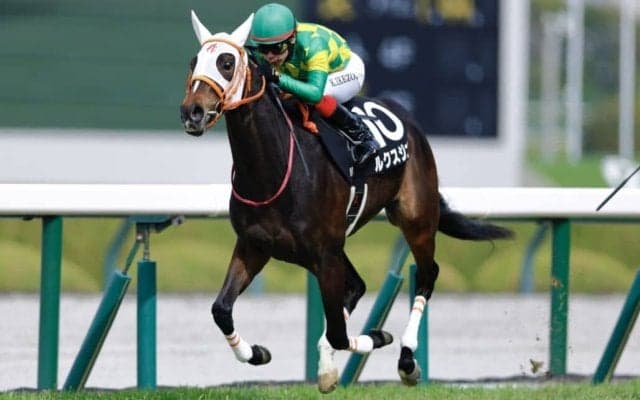 【君子蘭賞】ルクスジニアが未勝利から2連勝