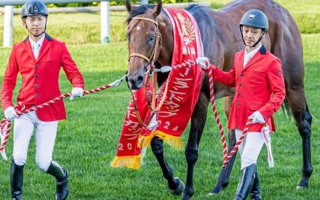 霜降り明星・粗品が高松宮記念を予想 「馬体重540kg前後なら…」とサトノレーヴを◎指名