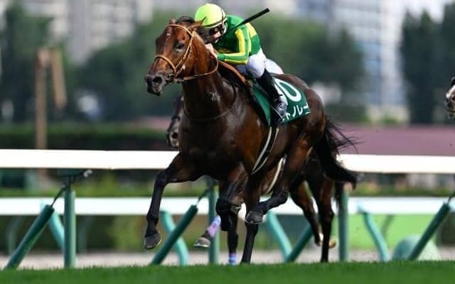 【高松宮記念】サトノレーヴが差し切り悲願のGI初制覇！ ナムラクレアは3年連続の2着
