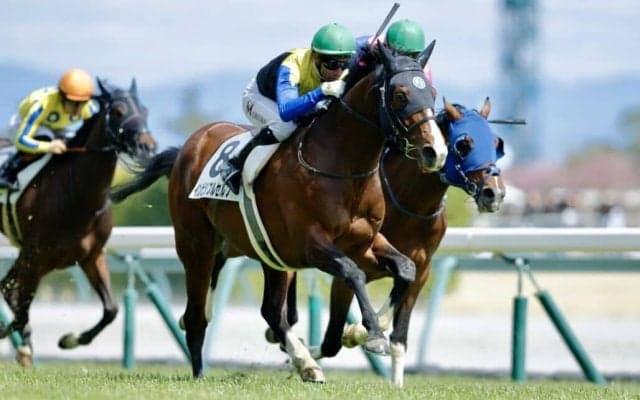 【中京6R】遅咲き良血馬がデビュー2連勝…1年8ヶ月ぶりインビジブルセルフがV