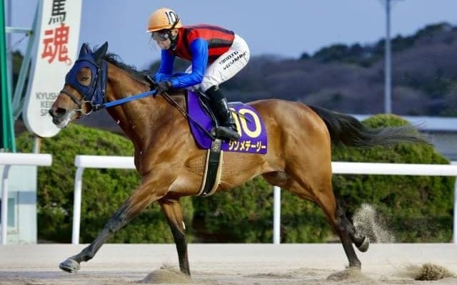 【佐賀・はがくれ大賞典結果】シンメデージーが断然人気に応えて完勝 重賞5勝目