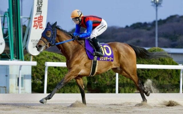 【佐賀・はがくれ大賞典】高知シンメデージーが重賞5勝目