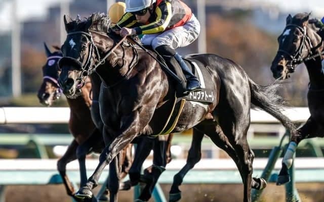 【ダービー卿CT見どころ】安定感光るトロヴァトーレが重賞初制覇を狙う